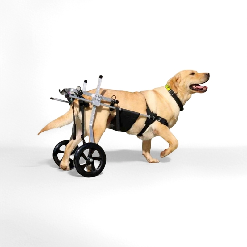 Carro de soporte para patas traseras de metal ligero para perros heridos ancianos de tamaño mediano y grande