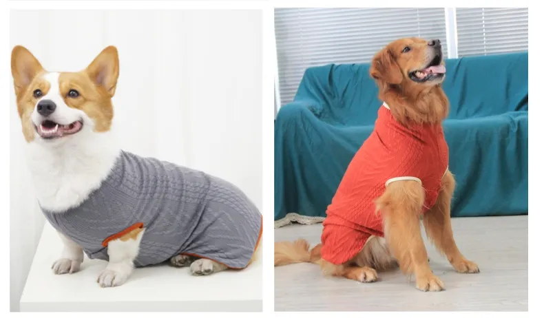Suéter tejido multicolor para perros