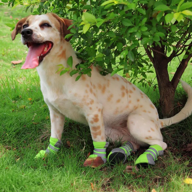 Zapatos para perros deportivos cómodos, casuales, reflectantes y transpirables de malla al por mayor