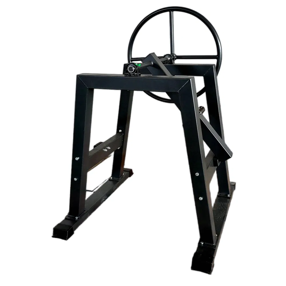 Premium Combat Sports Gear for Ultimate Fitness Training