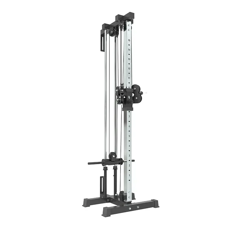 Gym Fitness Functional Trainer