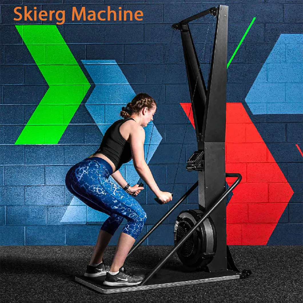 Gym Fitness Equipment 1