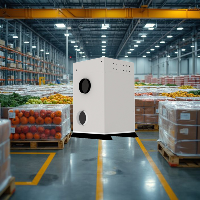 Smart Dehumidifying Defrost-Free Cold Storage Solution for Frostless Meat Processing Cold Rooms