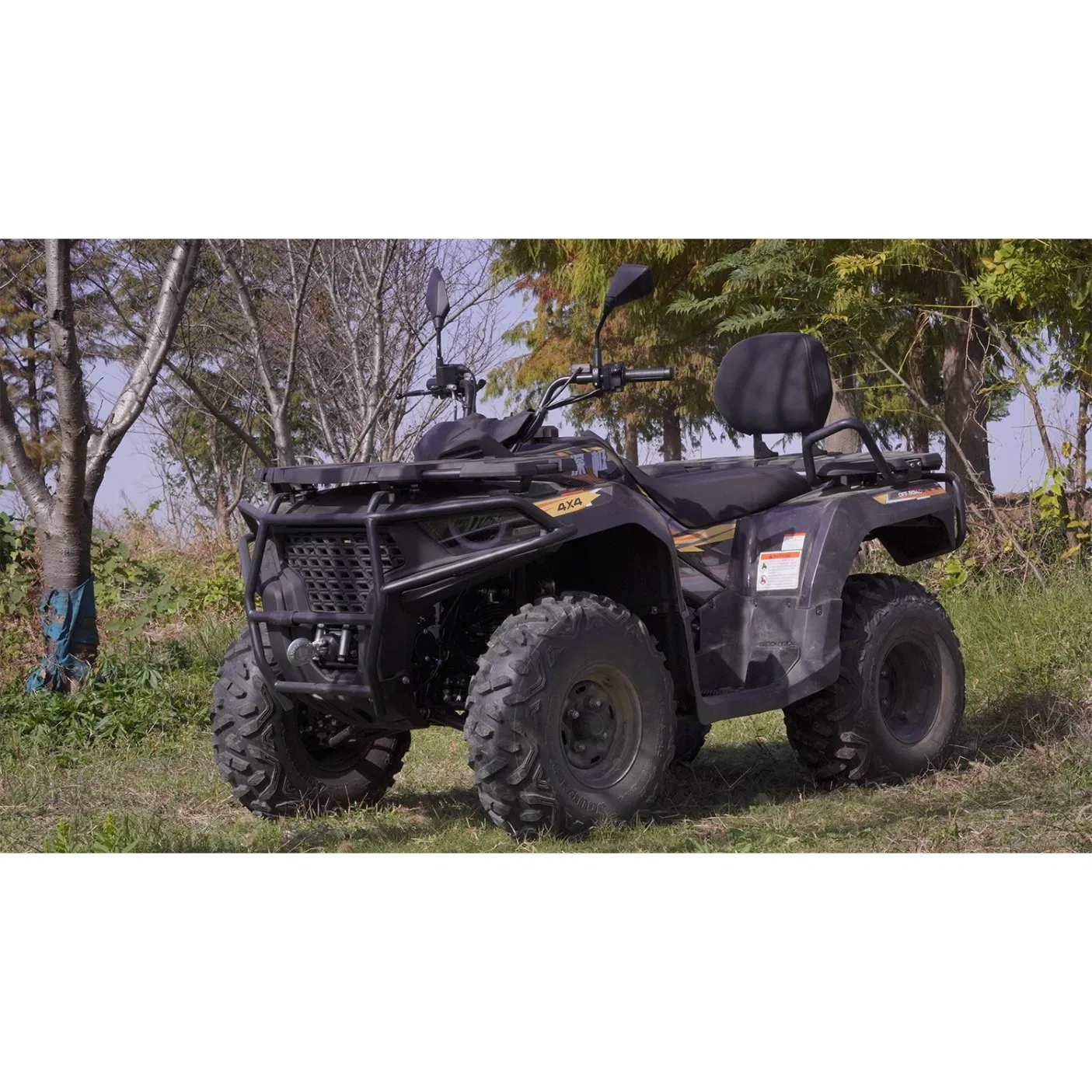 All-Terrain High Stability Quad ATV for Adventure Seekers Mounta X Qj 300cc