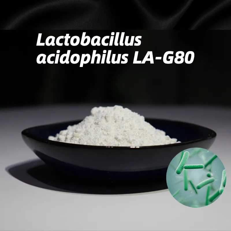 Lactobacillus acidophilus LA-G80