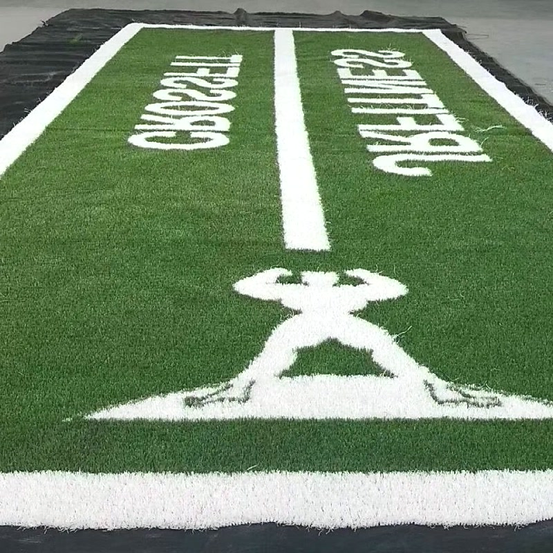 Custom Color Gym Turf for Functional Fitness Spaces