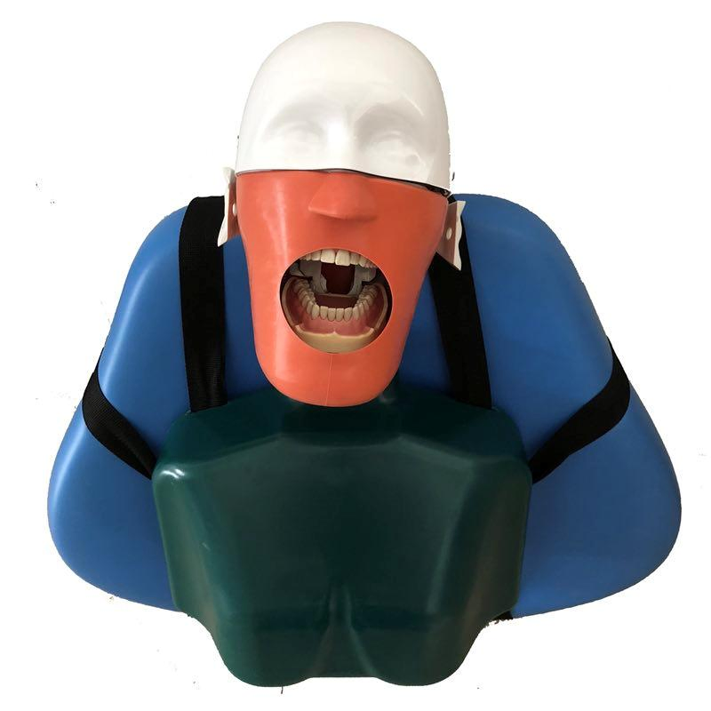 Dental Simulator Manikins Phantom Head Simulation Unit for Students Teaching Training Compatible with Nissin Kilgore/Frasaco