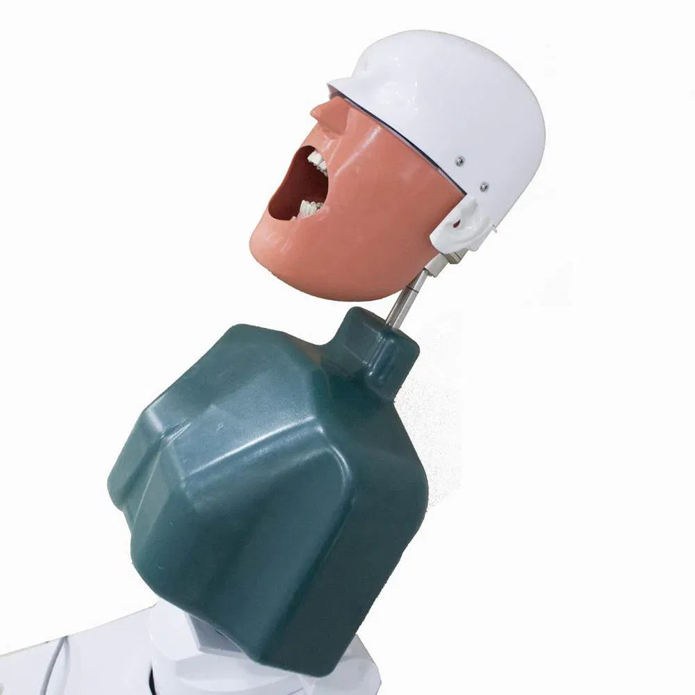 Dental Simulator Manikins Phantom Head Simulation Unit for Students Teaching Training Compatible with Nissin Kilgore/Frasaco