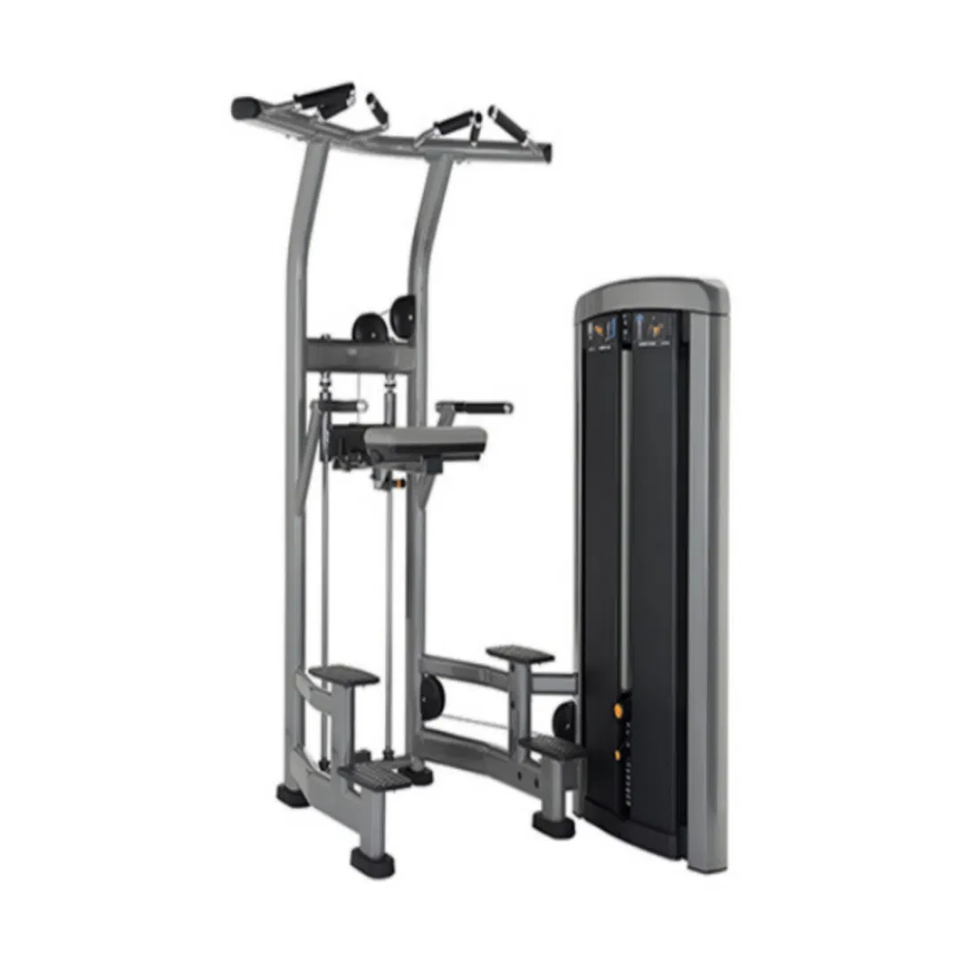 Commercial Grade Pull up Machine – Professional Bodyweight Trainer for Muscle Building OEM/ODM Supplier High-End Fitness Gear