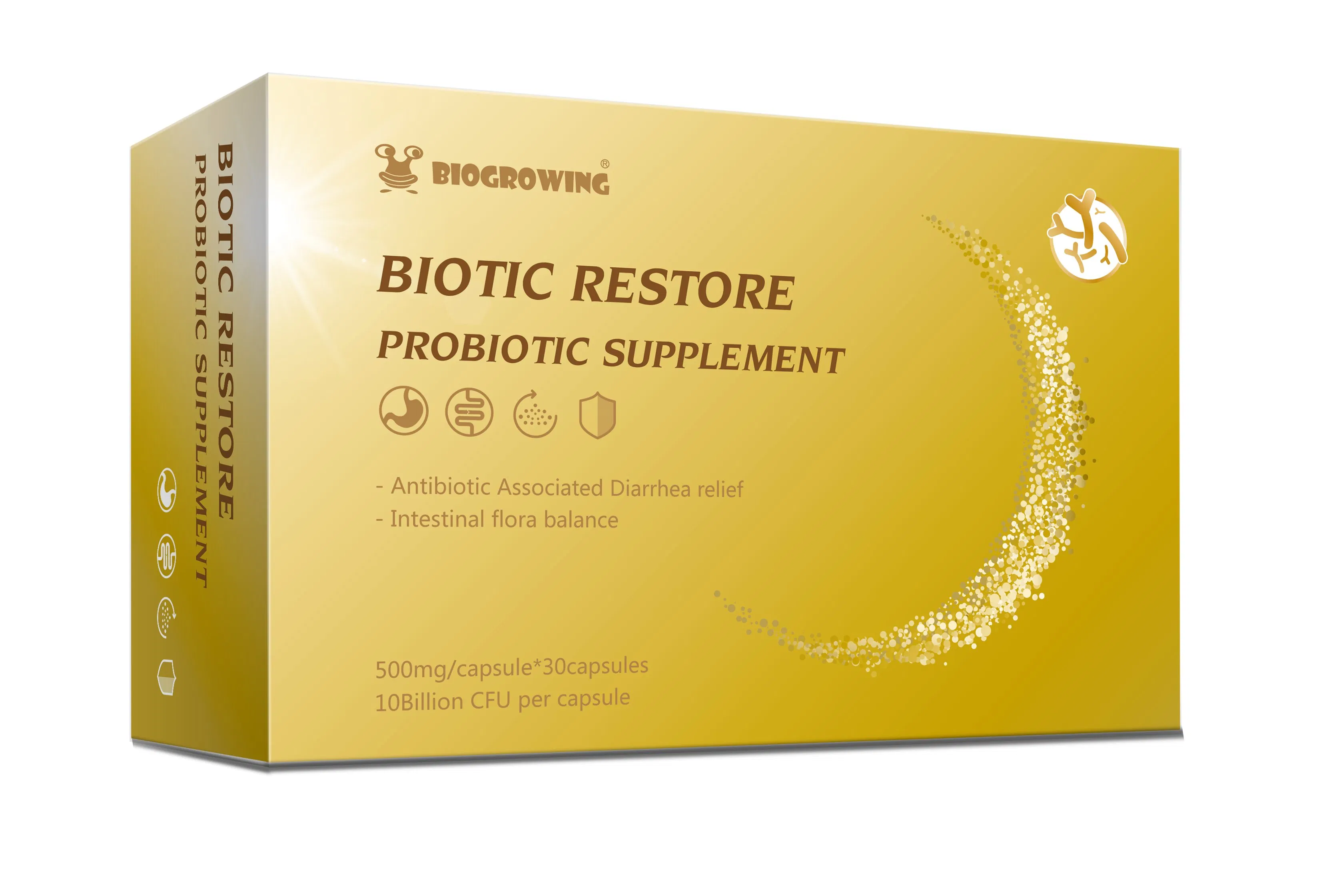 High Stability 200 Billion Cfu/G Freeze-Dried Probiotic Powder Lactobacillus Acidophilus