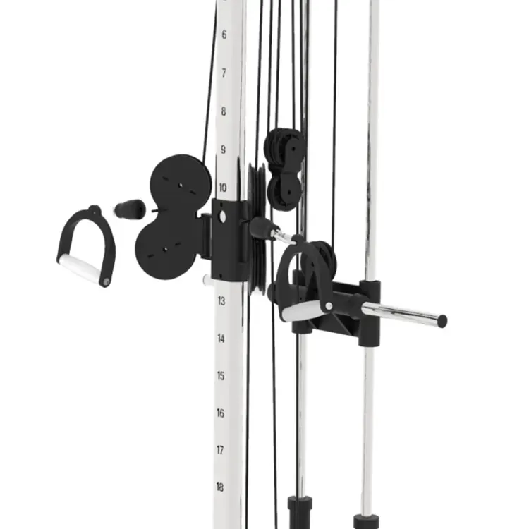 Functional Trainer Design