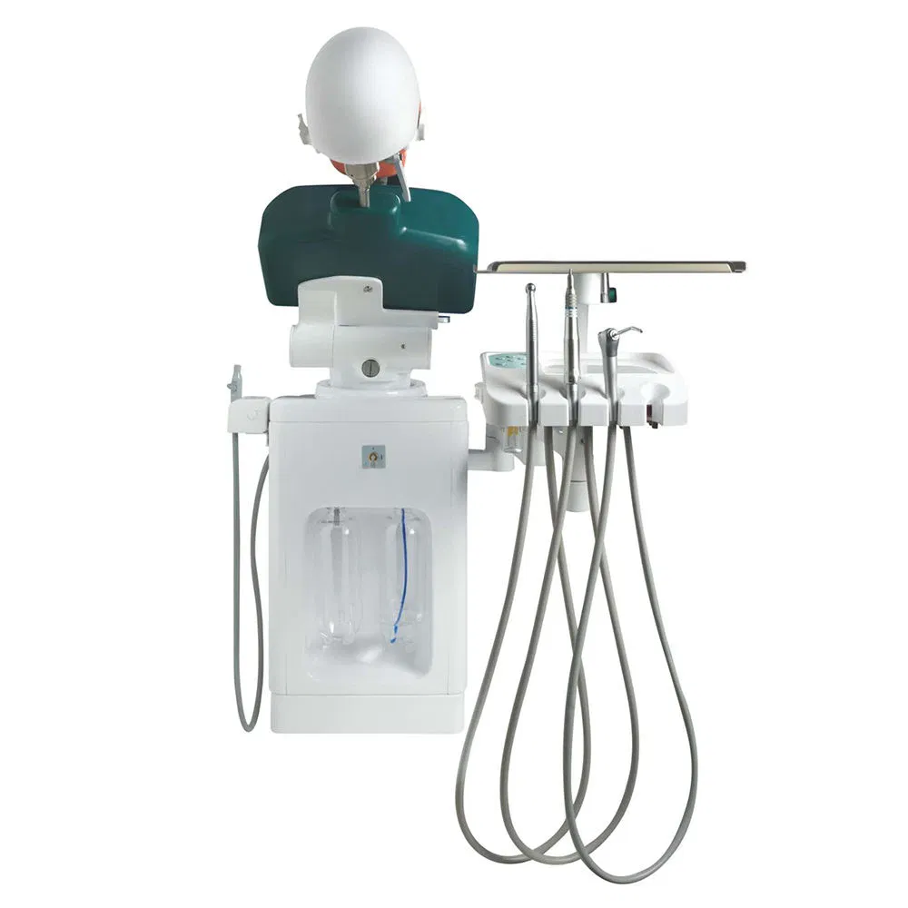 Dental Simulator Manikins Phantom Head Simulation Unit for Students Teaching Training Compatible with Nissin Kilgore/Frasaco