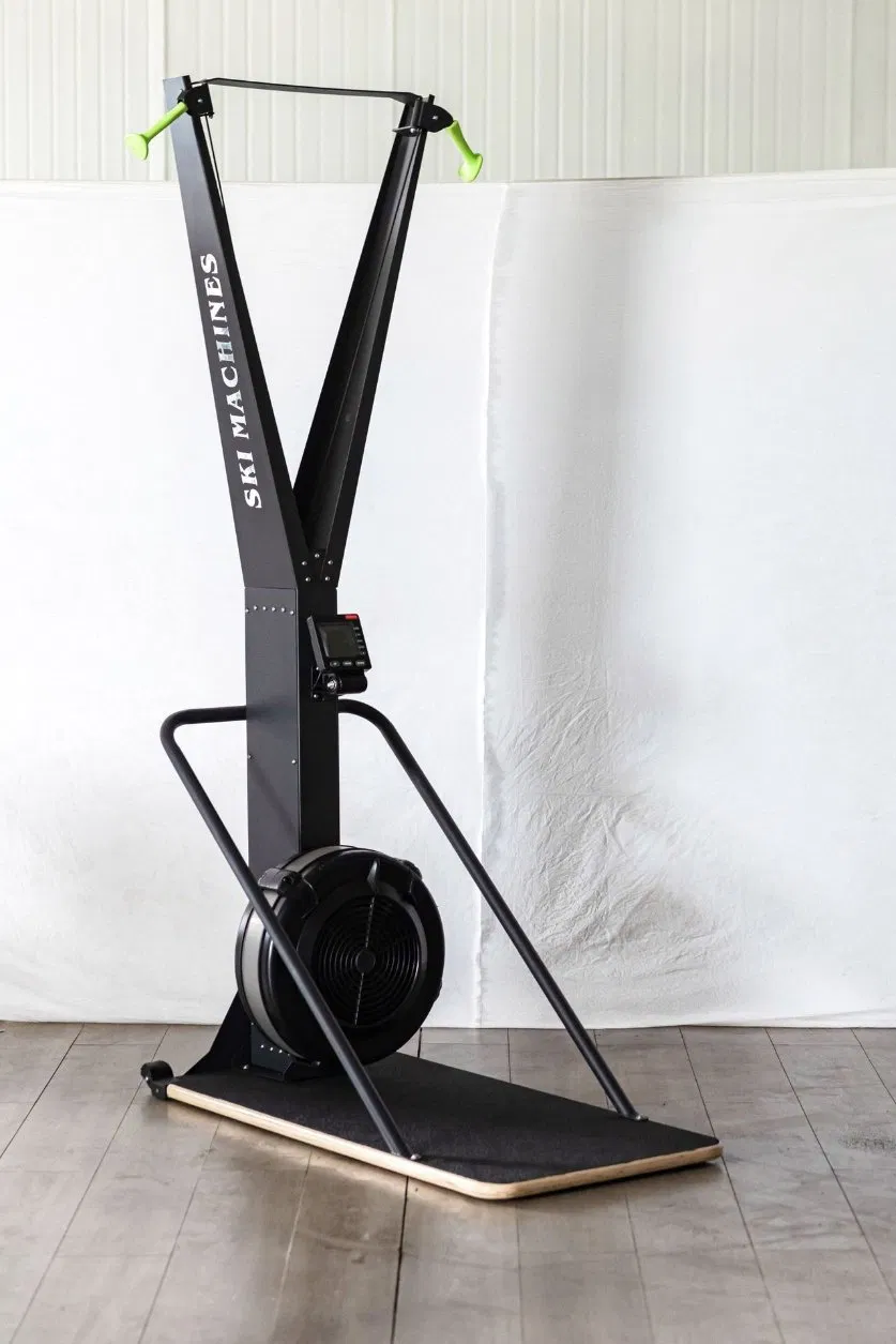 Commercial Gym Equipment Home Exercise Ski Erg Cardio Skiier Strength Resistance Skiing Machine