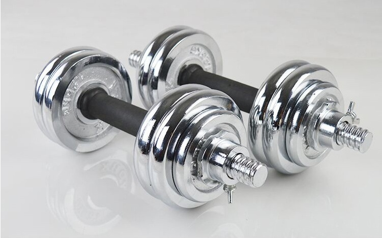 Gym Equipment Paint Dumbbell Rubber Handle Bar Osf008 Free Weight