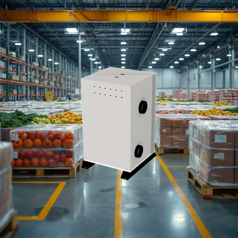 Smart Dehumidifying Defrost-Free Cold Storage Solution for Frostless Meat Processing Cold Rooms