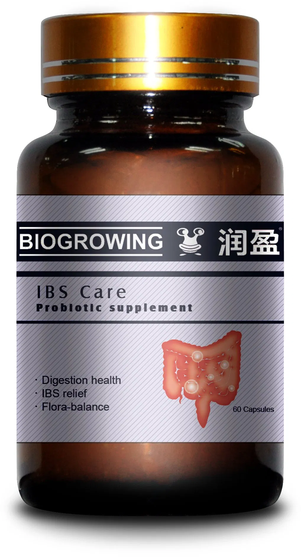 High Stability 200 Billion Cfu/G Freeze-Dried Probiotic Powder Lactobacillus Acidophilus