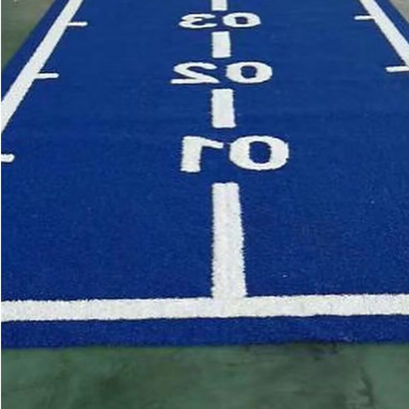 Custom Color Gym Turf for Functional Fitness Spaces