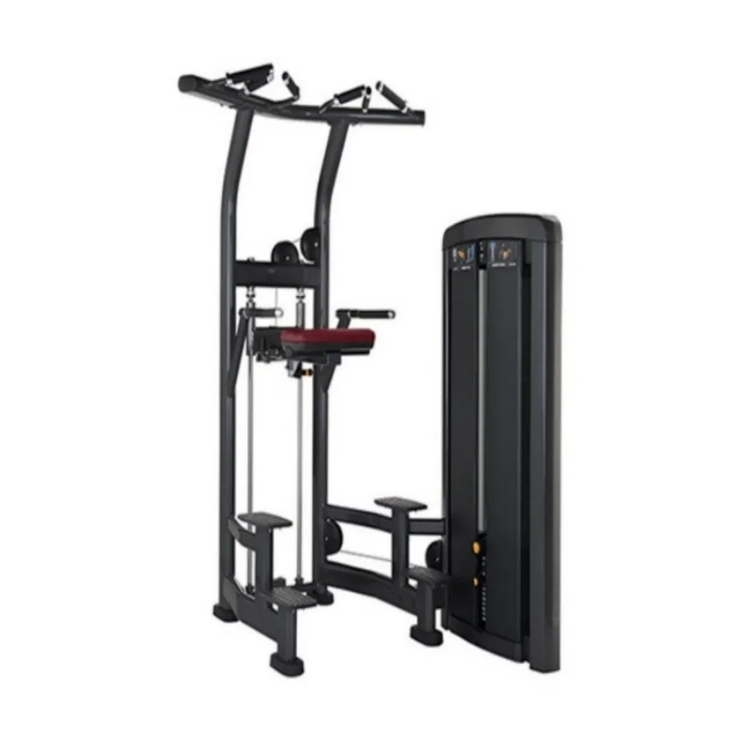 Commercial Grade Pull up Machine – Professional Bodyweight Trainer for Muscle Building OEM/ODM Supplier High-End Fitness Gear