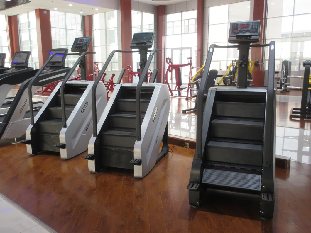 Cardio Equipment