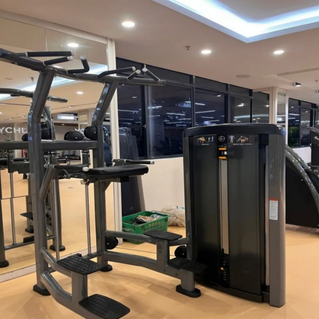 Commercial Grade Pull up Machine – Professional Bodyweight Trainer for Muscle Building OEM/ODM Supplier High-End Fitness Gear