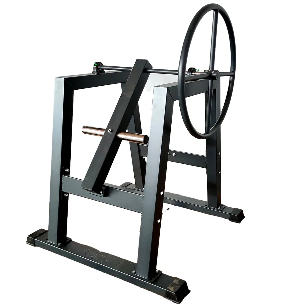 Premium Combat Sports Gear for Ultimate Fitness Training