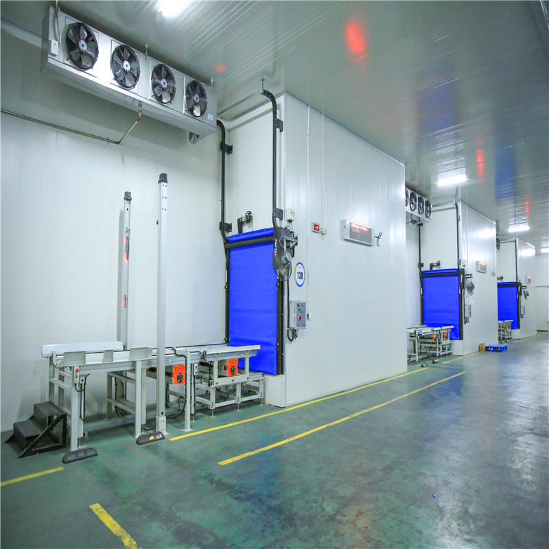 Dl Cold Warehouse Customization for Comprehensive Storage Solutions
