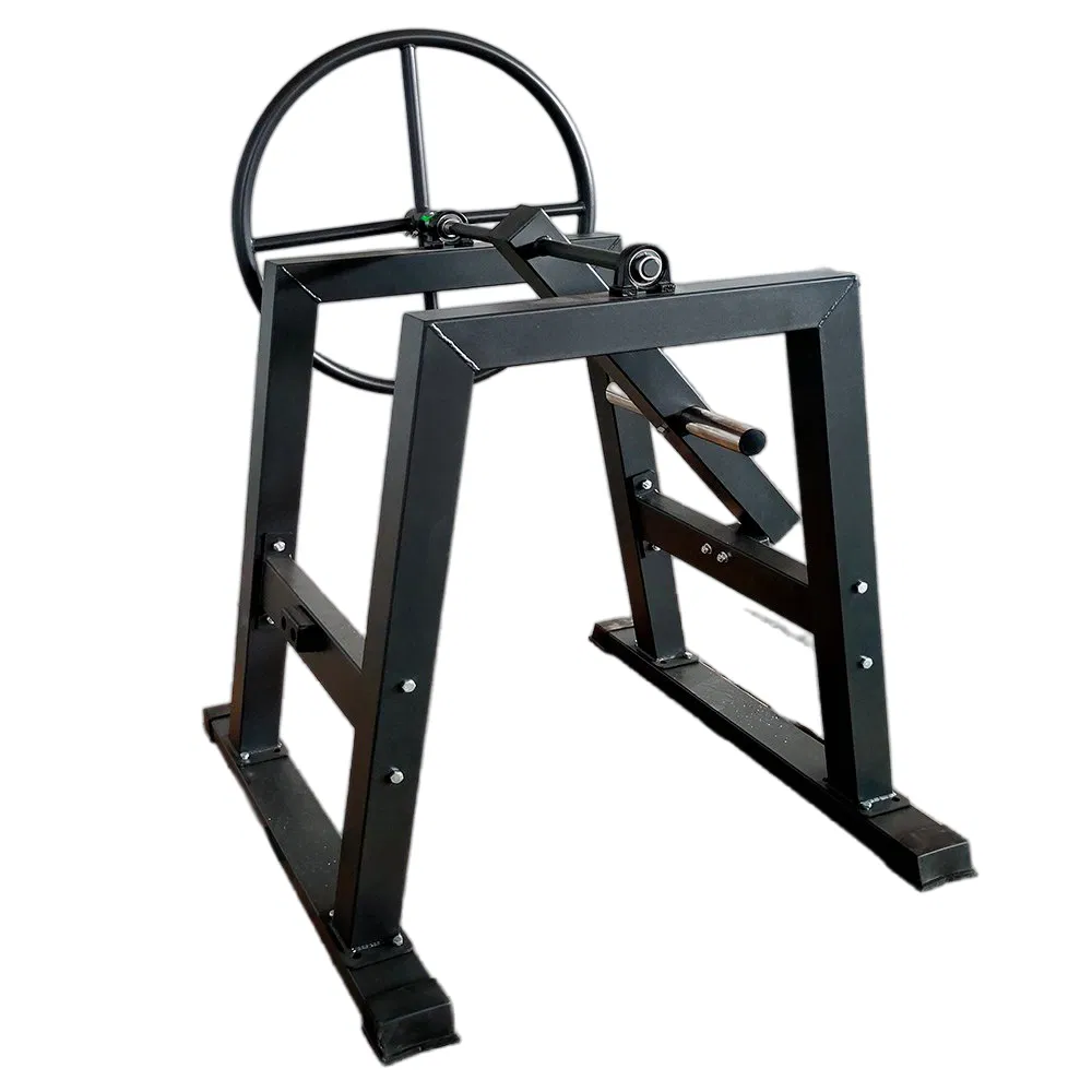 Premium Combat Sports Gear for Ultimate Fitness Training