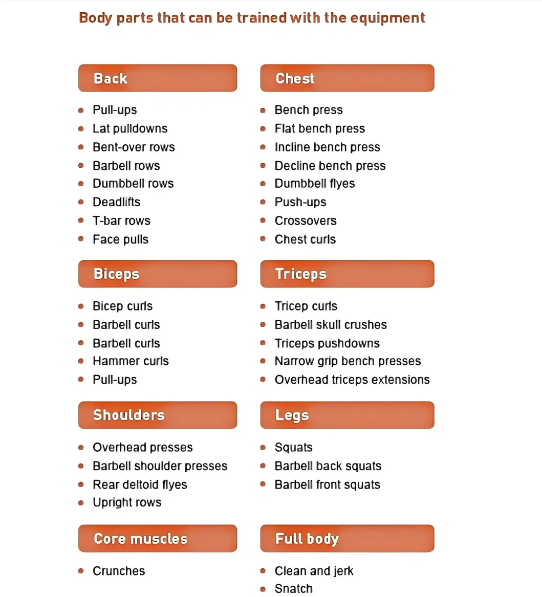 Fitness Training Modes