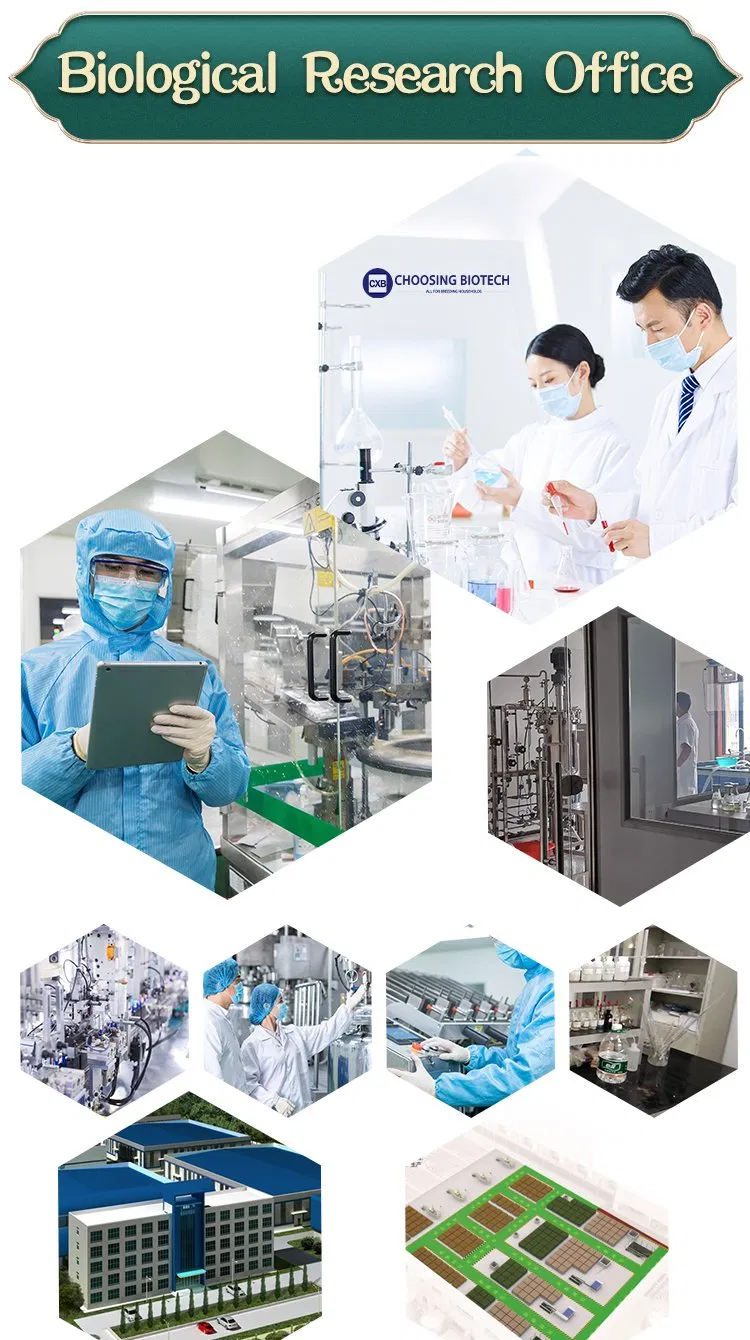 Antibiotics for Animals