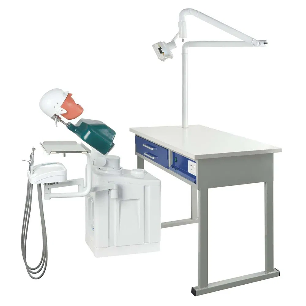 Dental Simulator Manikins Phantom Head Simulation Unit for Students Teaching Training Compatible with Nissin Kilgore/Frasaco