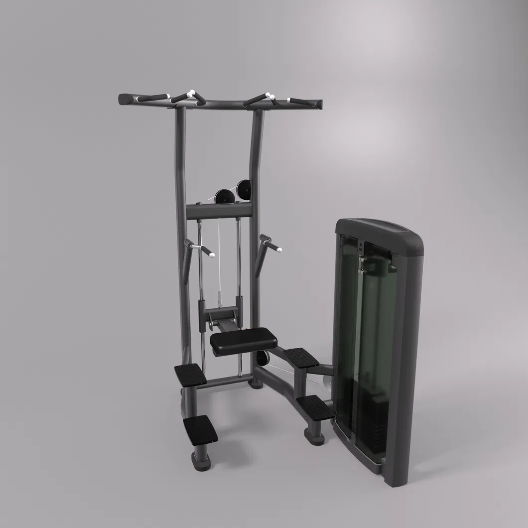 Assist Dip Chin Machine