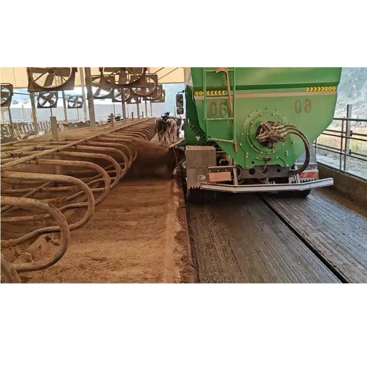 Bedding Recovery System for Dairy Farm as Cubicle Material Fertilizer Cow Manure Fermentation