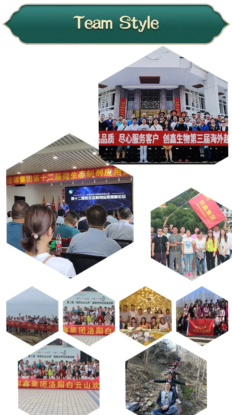 Product Specification