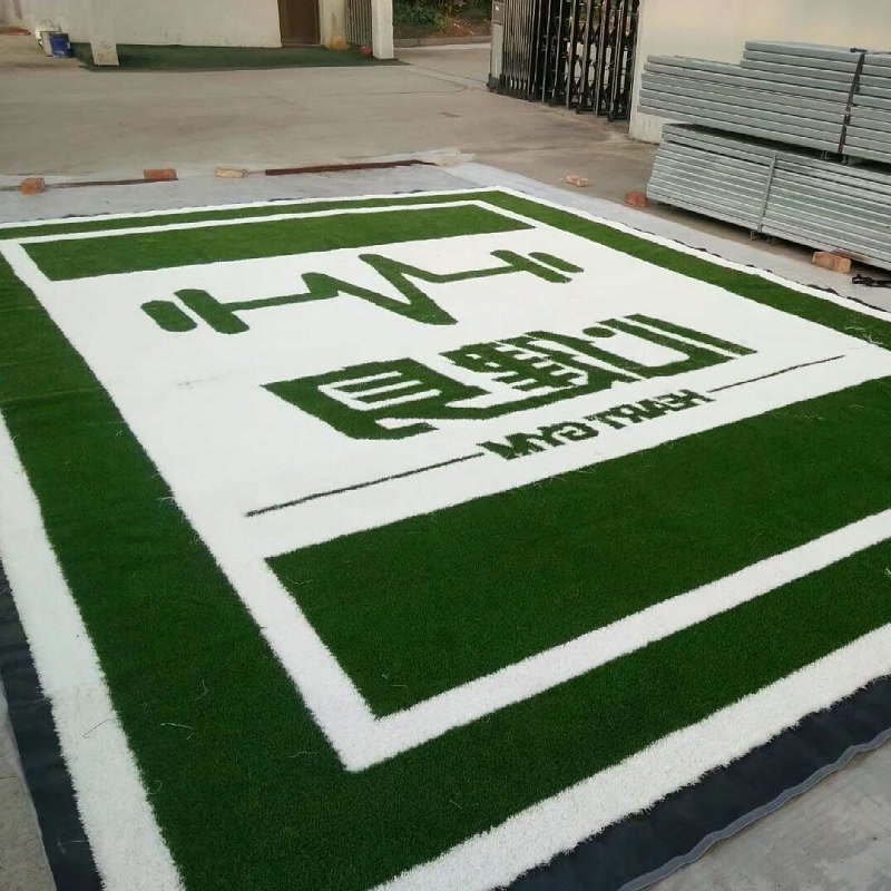 Custom Color Gym Turf for Functional Fitness Spaces