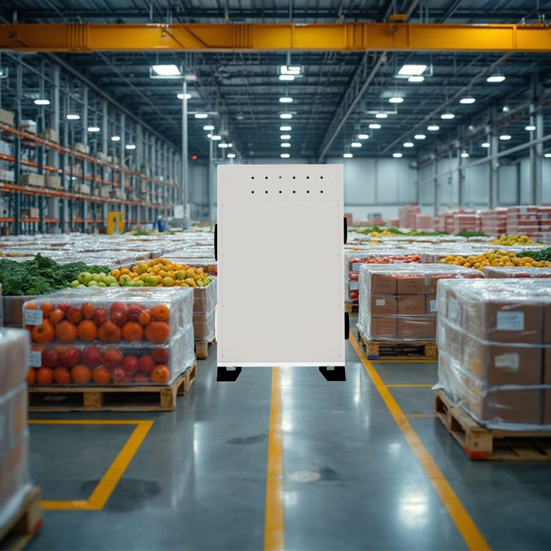 Smart Dehumidifying Defrost-Free Cold Storage Solution for Frostless Meat Processing Cold Rooms