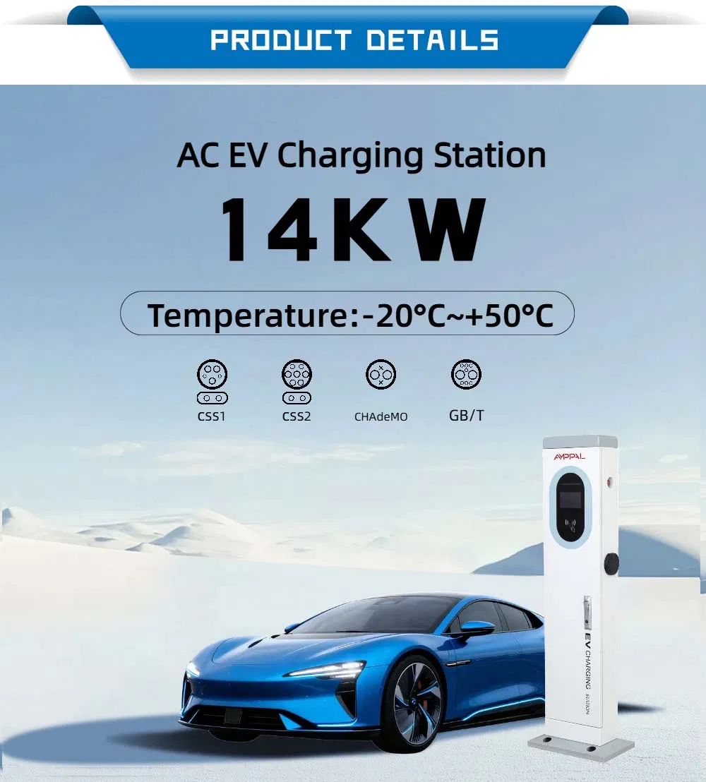 EV Charging Station Details