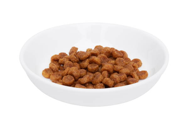 طعام جاف للكلاب والقطط بالجملة 1kg