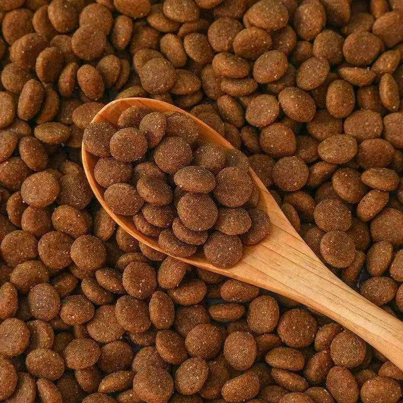 طعام جاف للبالغين والجراء من نوع تيدي كورجي غني بالكالسيوم لجمال الشعر