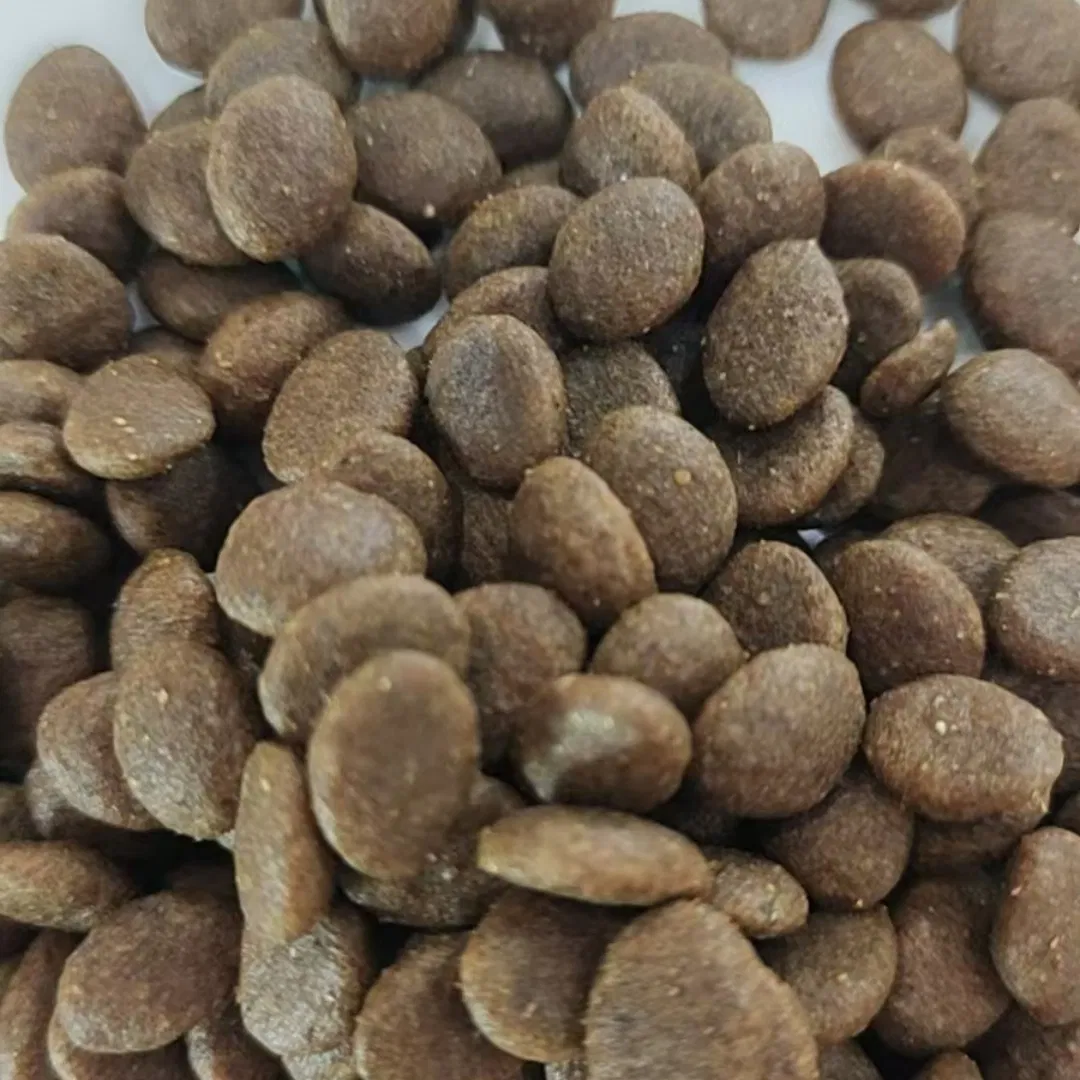 طعام قطط عضوي جاف يحتوي على لحم طازج