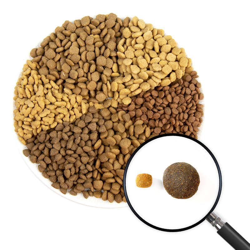 طعام جاف مخصص خالٍ من الحبوب للقطط والكلاب