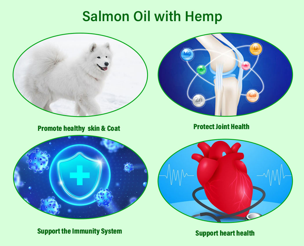 100% زيت سمك السلمون البري من ألاسكا للكلاب والقطط 32oz سائل EPA DHA لصحة الجلد والمعطف وصحة المناعة والقلب