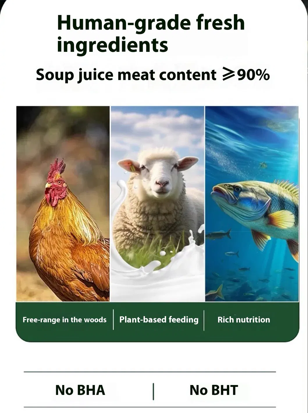 تفاصيل المنتج 1
