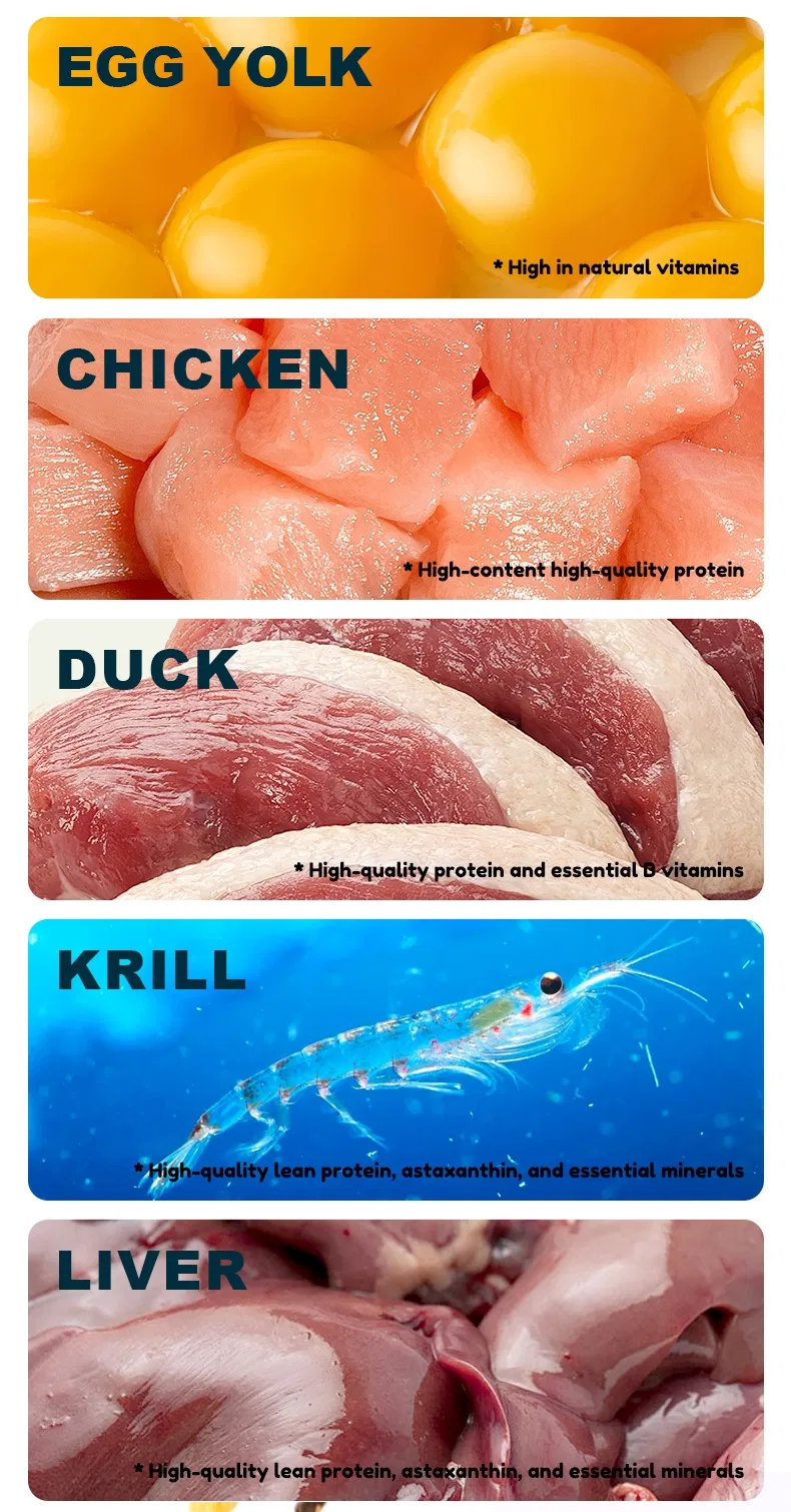 عملية الإنتاج