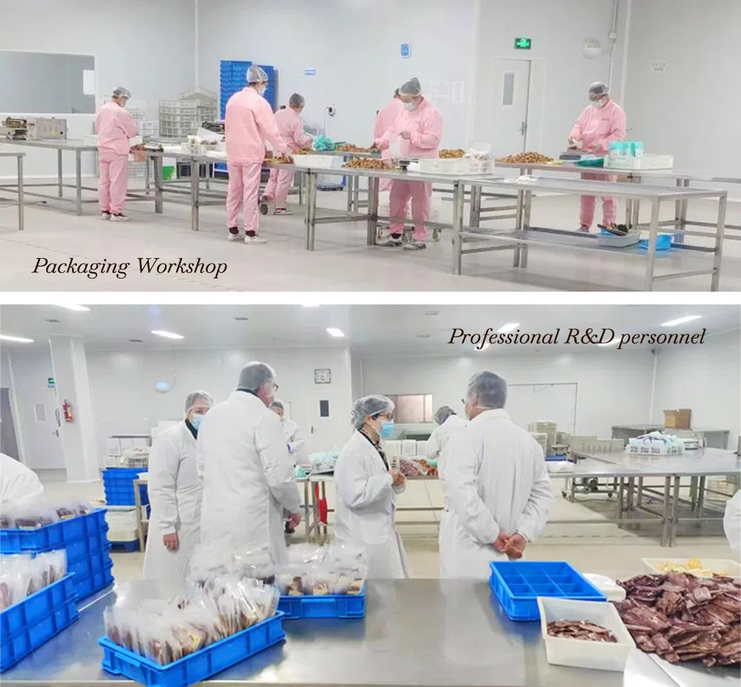 معدات الإنتاج
