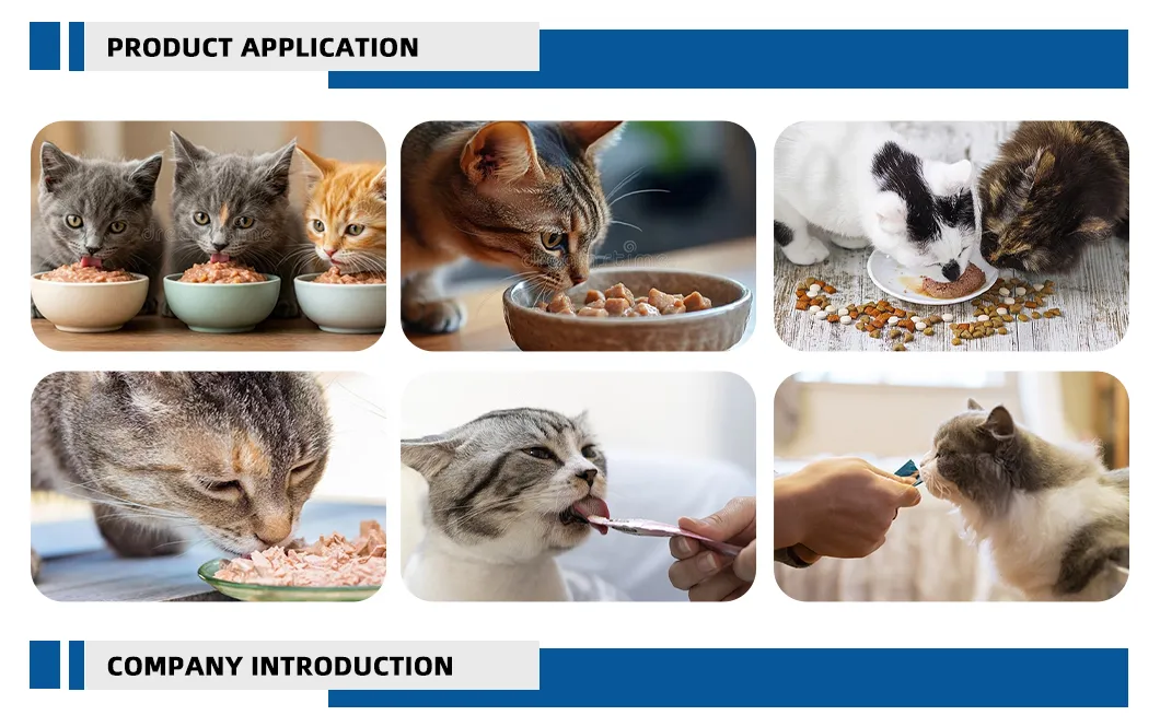 مواصفات