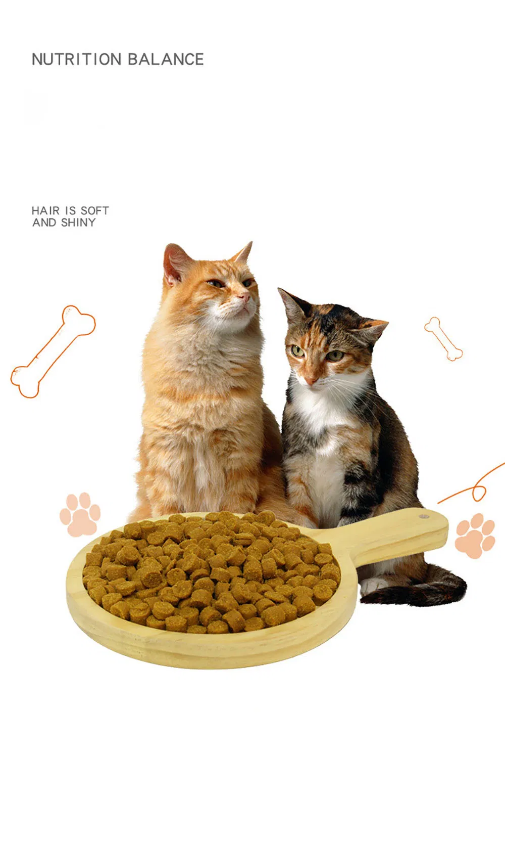 Pet Food Image 5