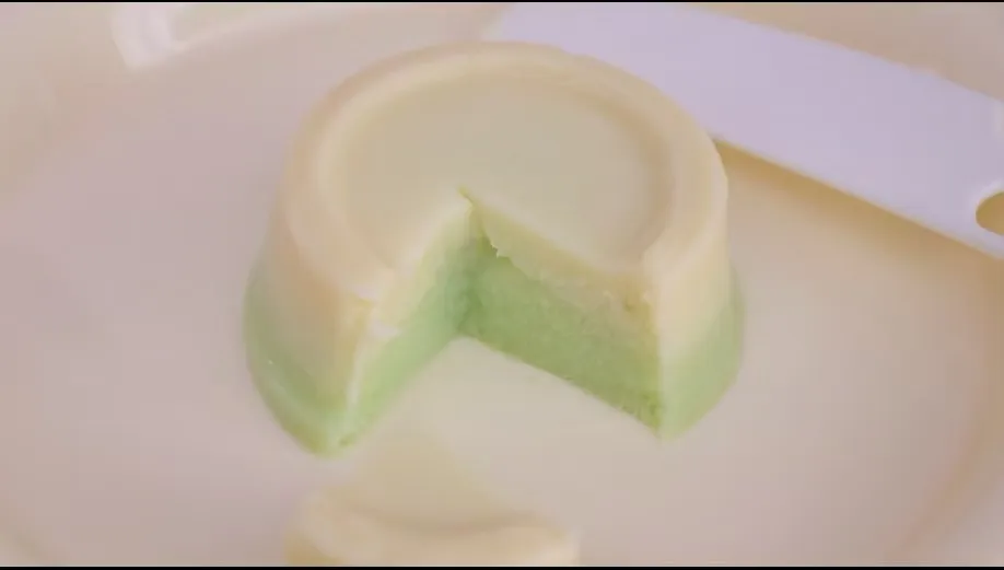طعام قطط تونة ودجاج