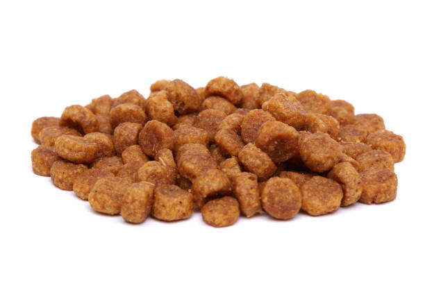 طعام جاف للكلاب والقطط بالجملة 1kg