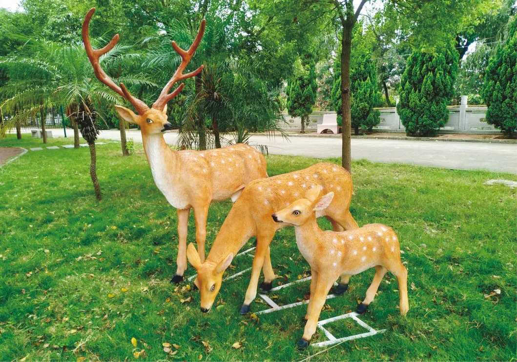 Aplicação em parque