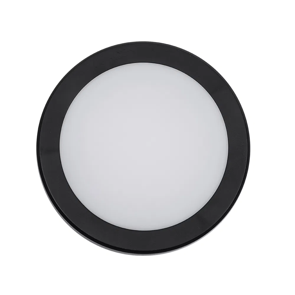 IP65 luz de teto LED para interior e exterior ABS